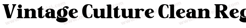 Vintage Culture Clean Regular字体转换